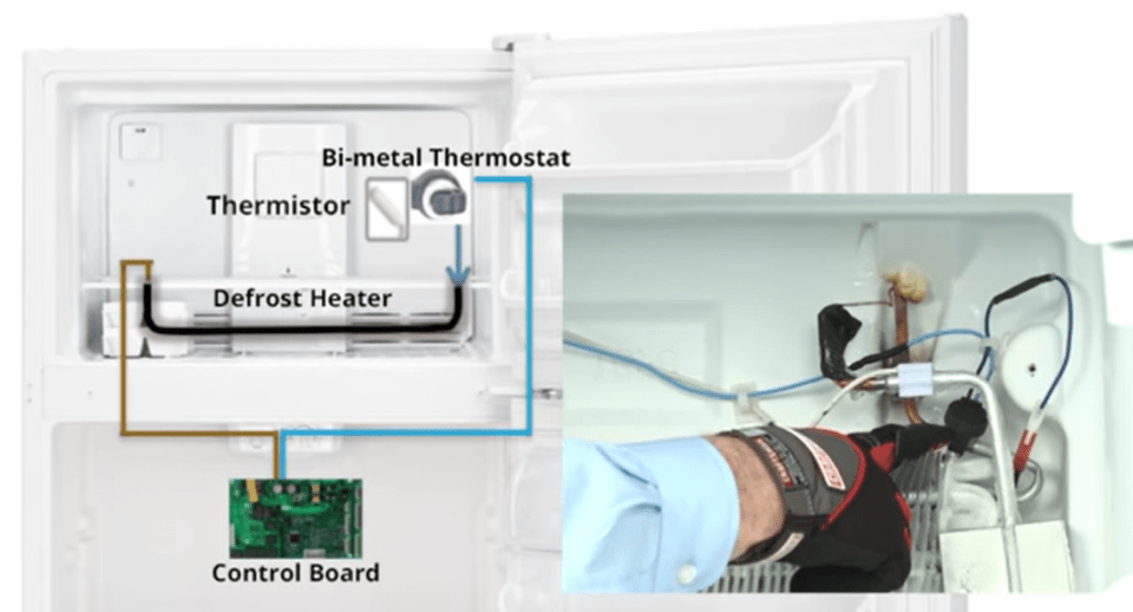 Fundador Microbio Pascua de Resurrección Troubleshoot & Fix Defrost System Problems In Refrigerators