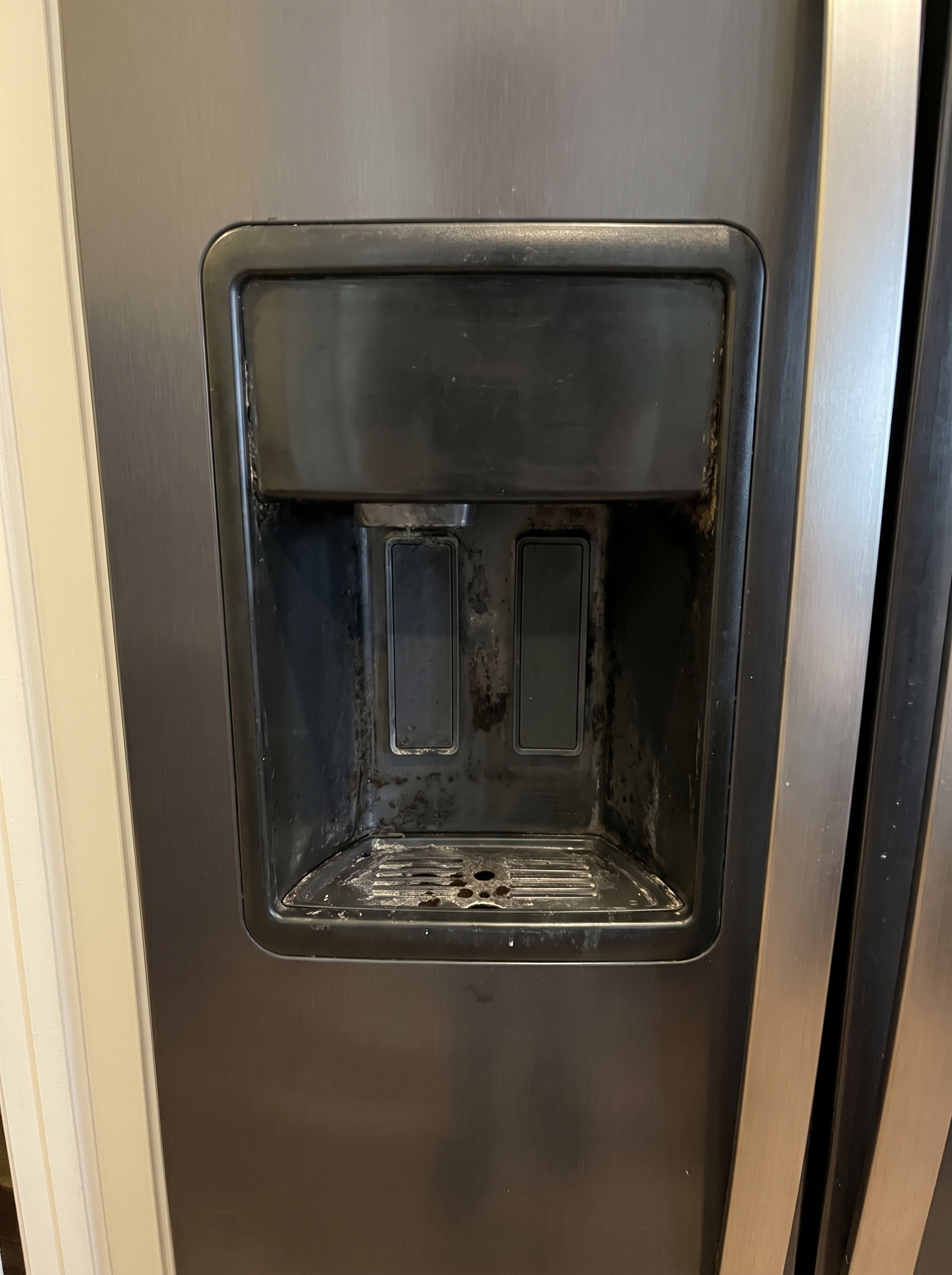 Whirlpool refrigerator dispenser replacement for mold and mildew Coral Springs FL